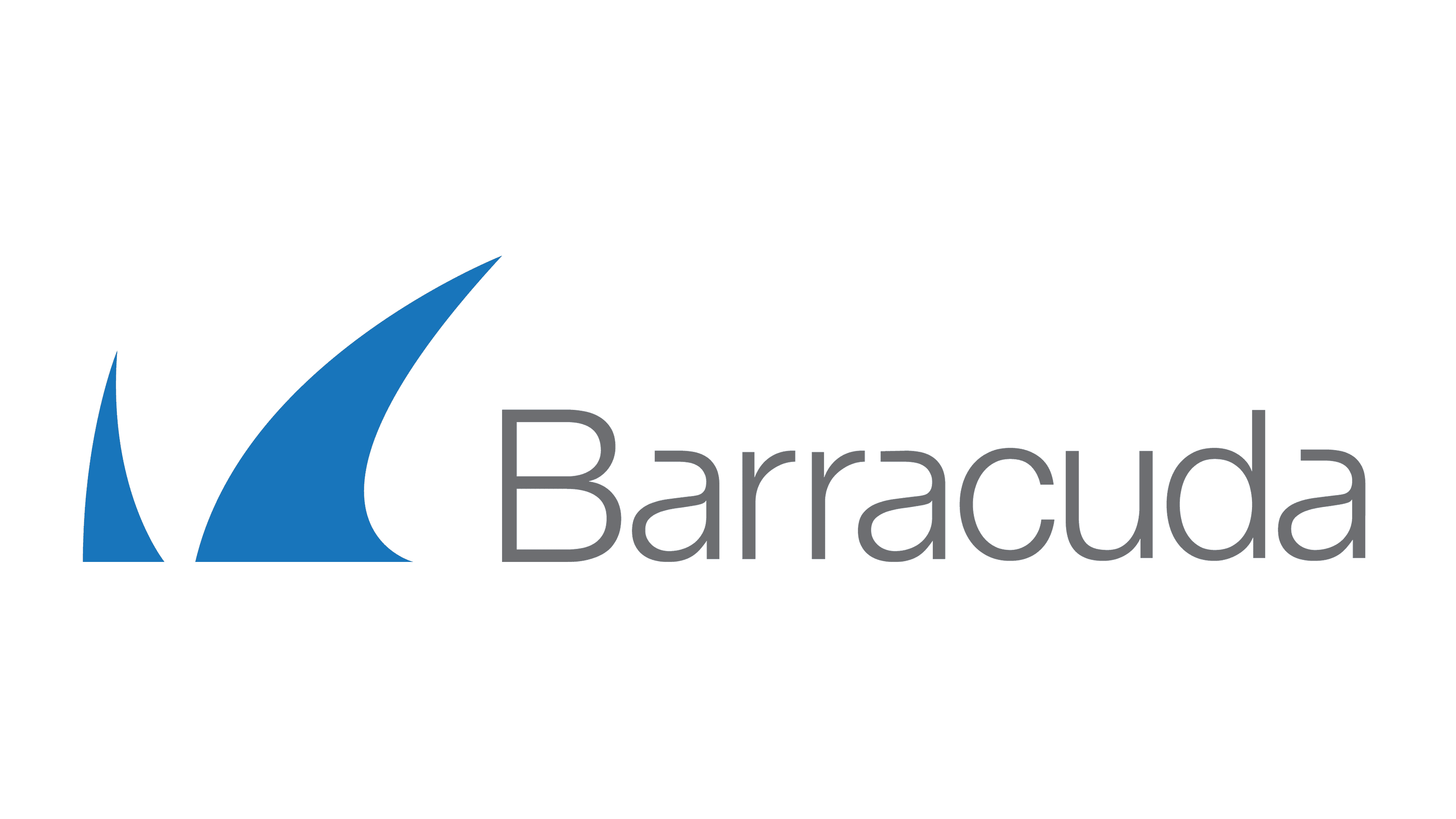 Barracuda Networks Partner